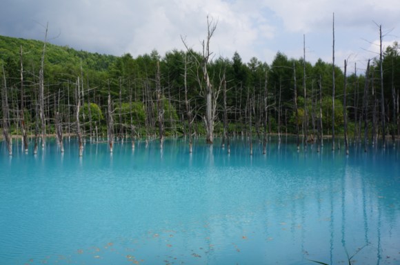 アップル Macの壁紙にも使われた北海道の 青い池 に行ってみた 見る角度によって色が変化するとか神秘的すぎる ロケットニュース24