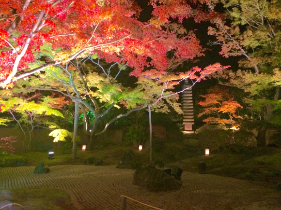 11月23日まで 日本三景の 松島 で紅葉ライトアップイベント開催中 一生に一度は見ないと後悔する 奇跡の美 を逃すな ロケットニュース24