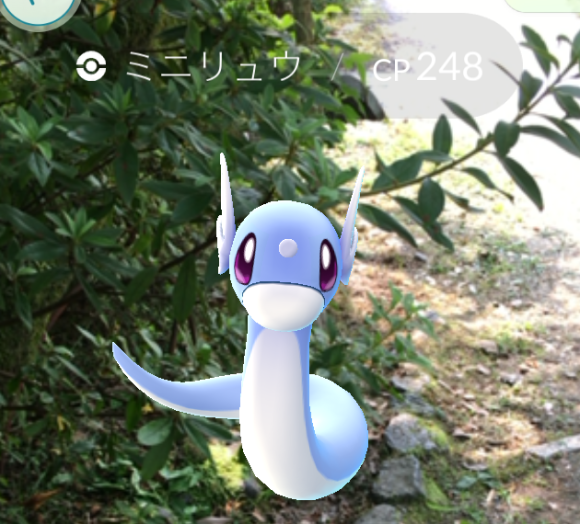 ポケモンgo レア度高めな ミニリュウ をゲットしたくば京都に行け 円山公園 で取れまくりだぜ ロケットニュース24