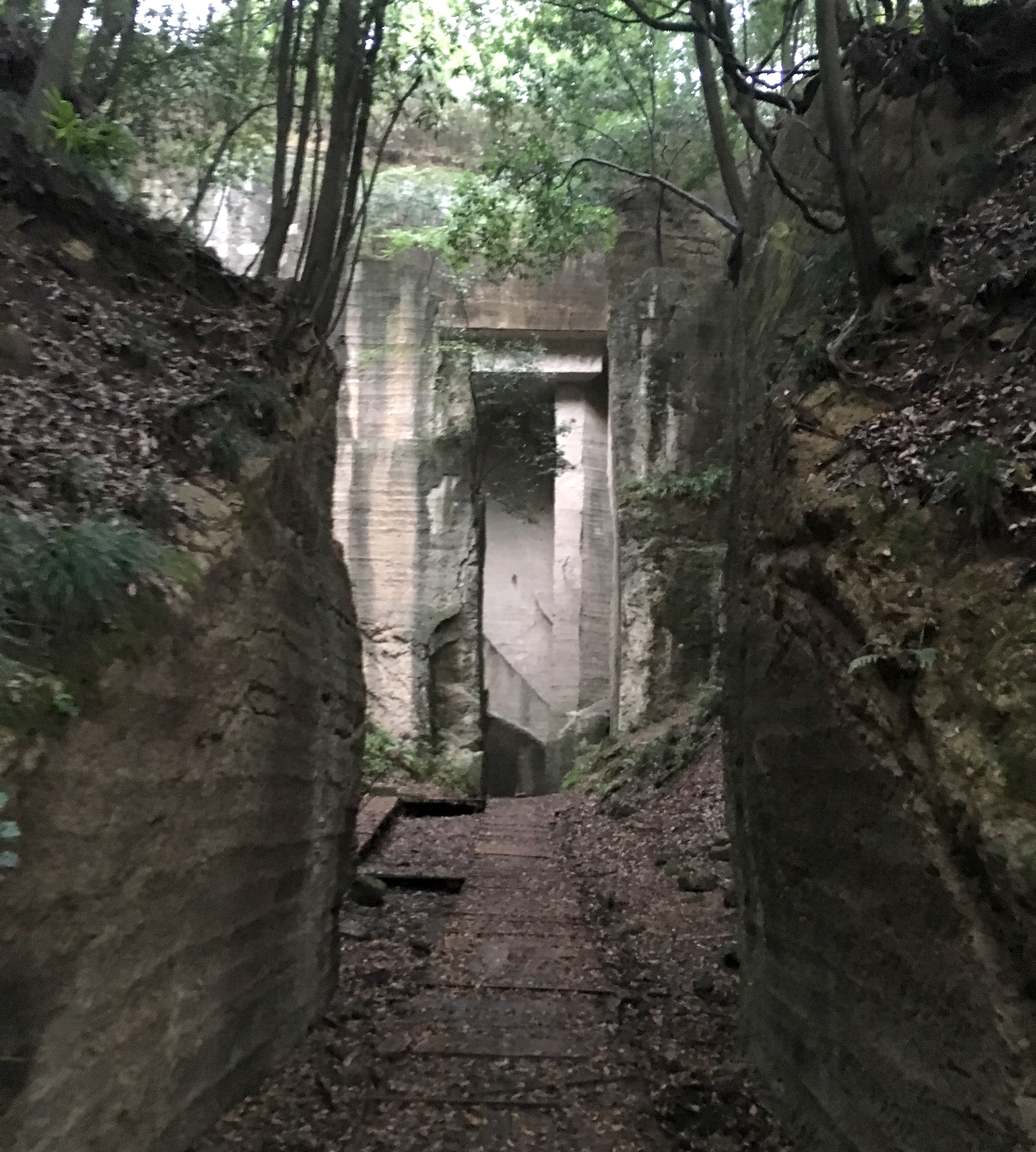 画像多数 静かにたたずむ巨石の廃墟 藪塚石切り場跡 が幻想的 群馬県の知られざる名所 ロケットニュース24