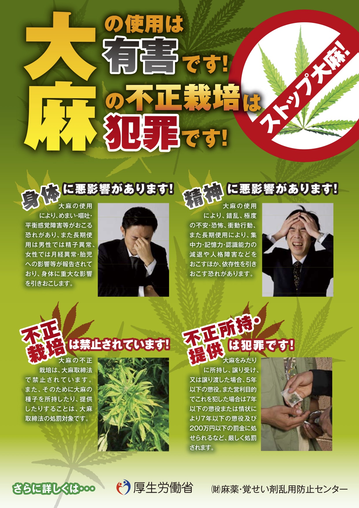 大麻栽培 鳥の餌 麻の実 を発芽させて逮捕された京都の男についてドラッグ事情通に話を聞いてみた ロケットニュース24