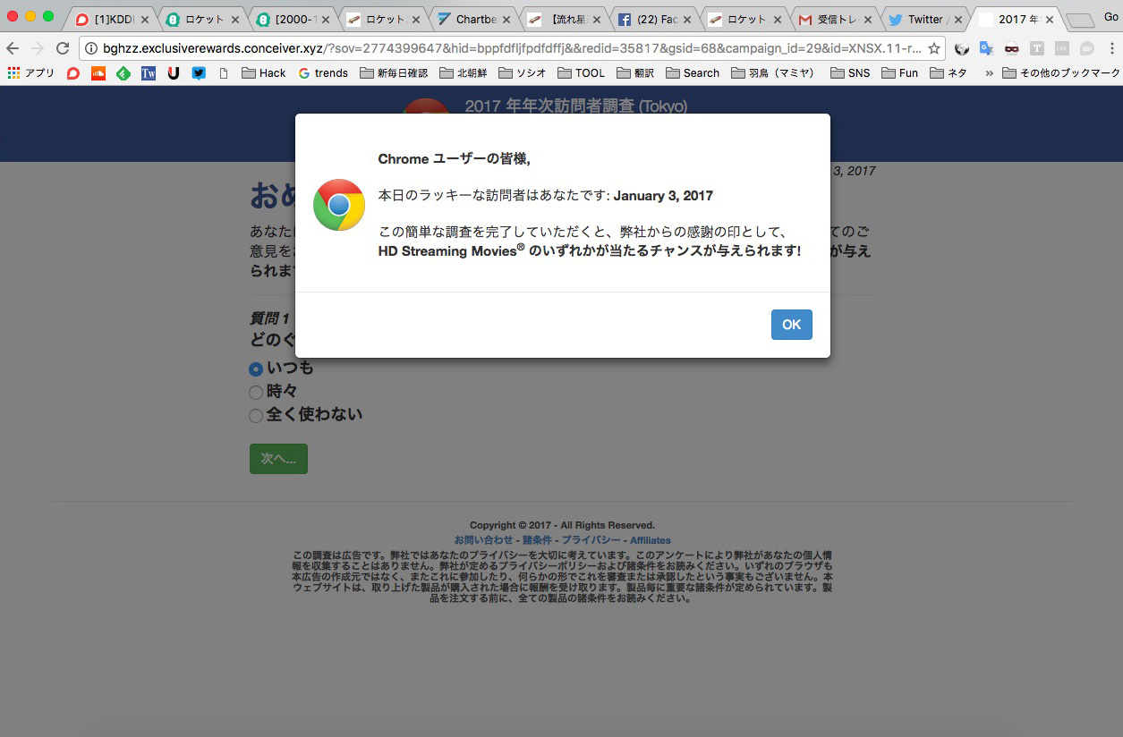 実録 Chromeユーザー調査を偽ったフィッシング詐欺 17年年次訪問者調査 にクレカ情報や個人情報を入れたりして最後まで進んだらこうなった ロケットニュース24