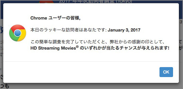 実録 Chromeユーザー調査を偽ったフィッシング詐欺 17年年次訪問者調査 にクレカ情報や個人情報を入れたりして最後まで進んだらこうなった ロケットニュース24