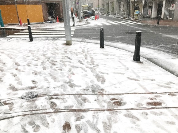 悲報 東京 ガチで雪が積もり始める ロケットニュース24