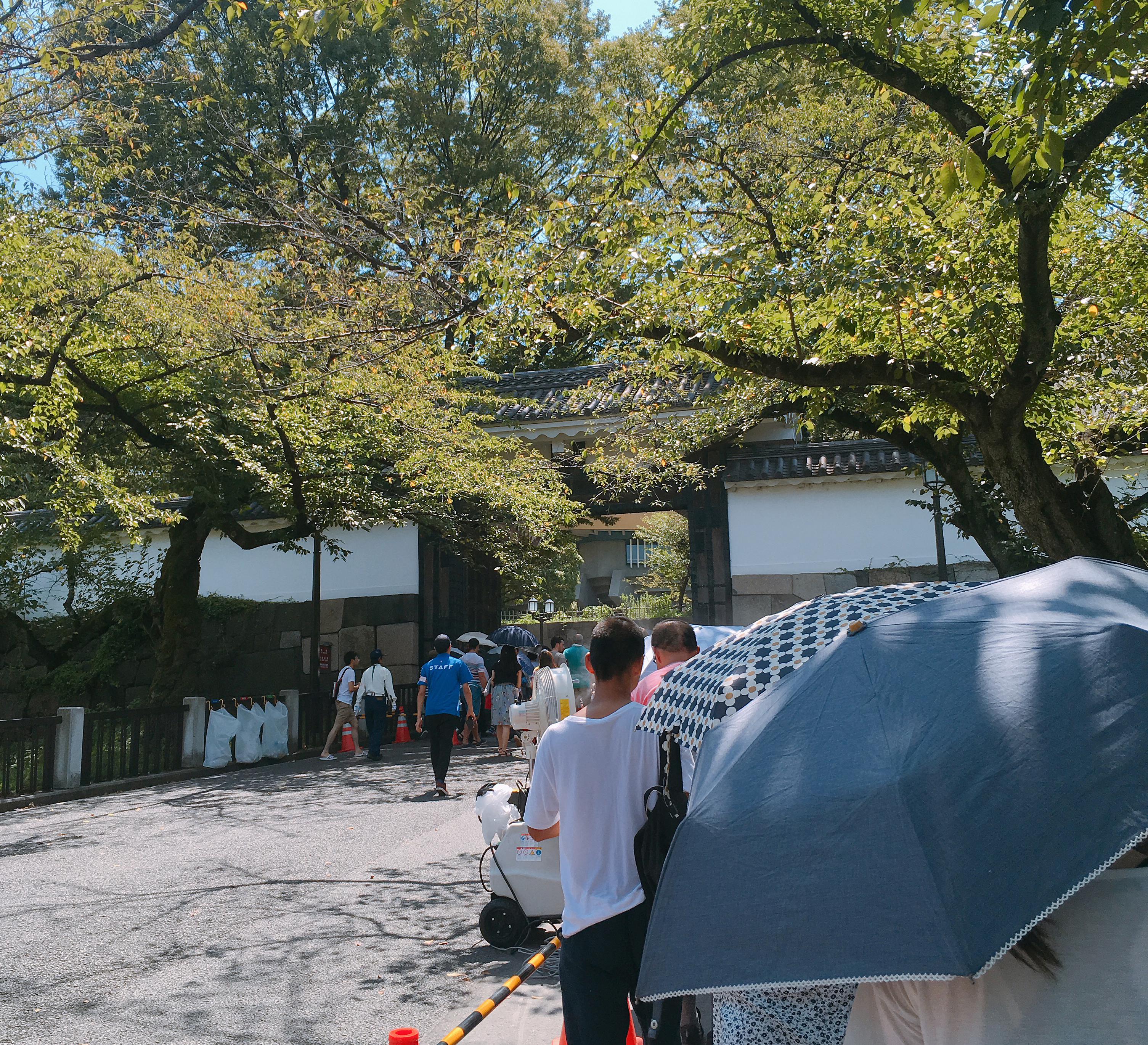 24時間テレビ 人生で初めて日本武道館に募金に行ってみた ロケットニュース24