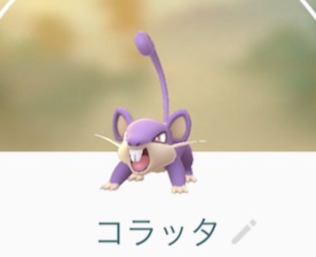 ポケモンgoのスゴさを肌で感じた瞬間5連発 コラッタじいちゃん バンギラスおばちゃん など ロケットニュース24