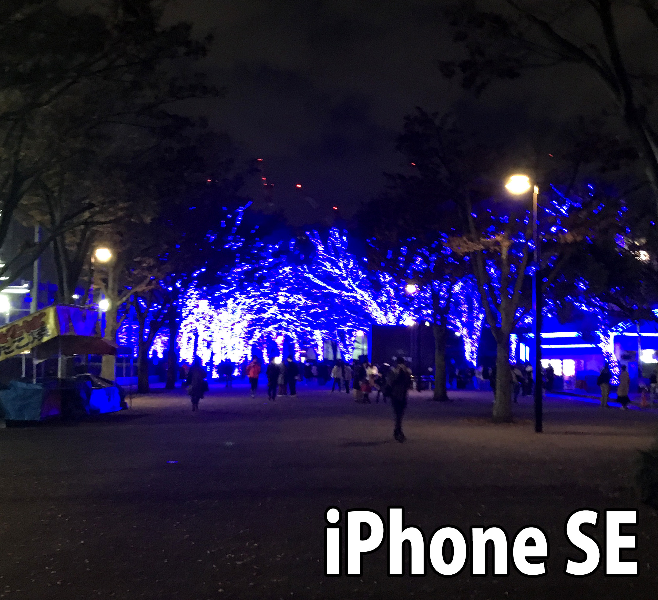 スマホ比較 Google Pixel 3と Iphonexs どちらが綺麗に写真を撮れるのか 夜間撮影編 ロケットニュース24