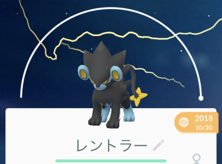 ポケモンgo レイドバトル デイ直前 ラプラス対策ポケモン はこれだ ロケットニュース24