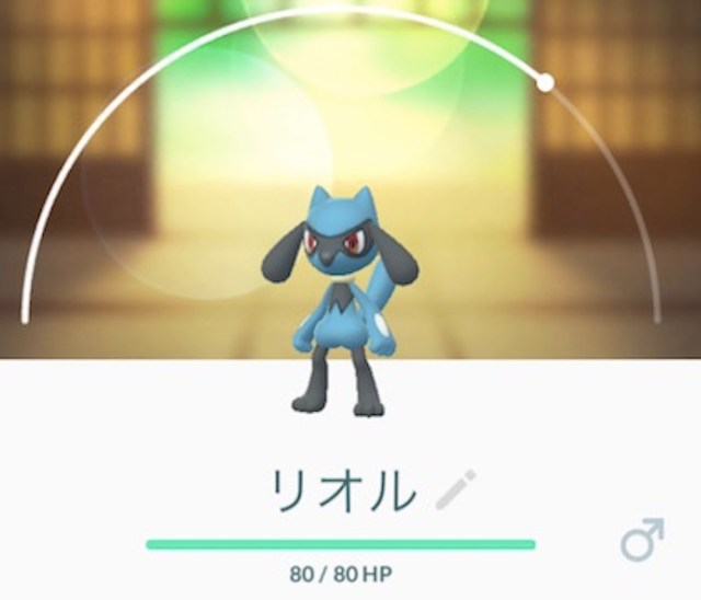 ポケモンgo タマゴマラソンで5キロ 10キロをかえしてる場合じゃない リオルにタマンタ 7キロ卵からレア系が出た ロケットニュース24