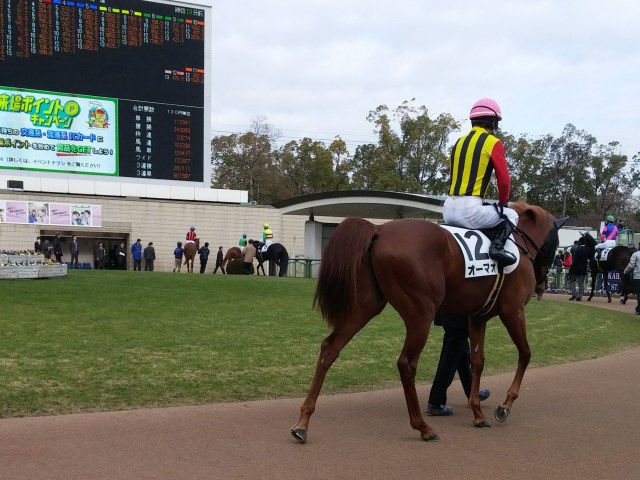 競馬 パドックでウンコをした馬はスッキリして激走する のか 丸1日かけて徹底的に検証してみたぞ ロケットニュース24