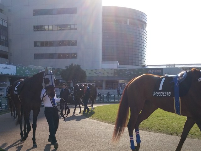 競馬 パドックでウンコをした馬はスッキリして激走する のか 丸1日かけて徹底的に検証してみたぞ ロケットニュース24