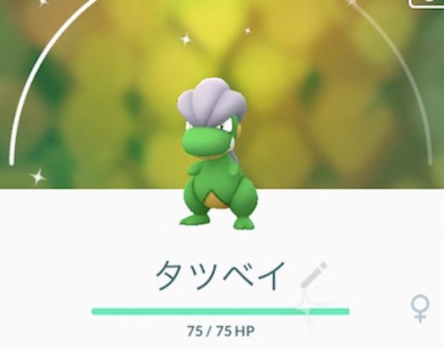 ポケモンgo 10月のラプラスイベントまで待てない 宮城県の 松島 でコミュニティ デイをやってみた ロケットニュース24