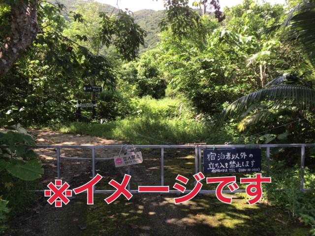 祝オープン ラーメン二郎 前橋千代田町店へ行ってみた 開店3日目 雨天 それでも予想を上回る大行列 ロケットニュース24