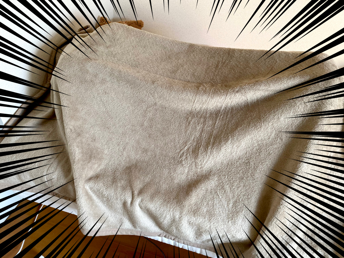 ヒート テック 毛布
