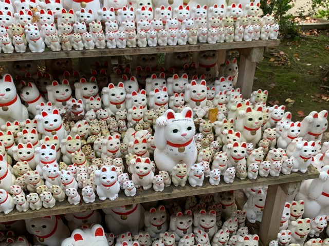 福 招き猫発祥と言われる 豪徳寺 は猫好きの楽園 隠れ猫さんもいたよ ロケットニュース24 福 招き猫発祥と言われる 豪徳寺 は猫好きの楽園 隠れ猫さんもいたよ ロケットニュース24