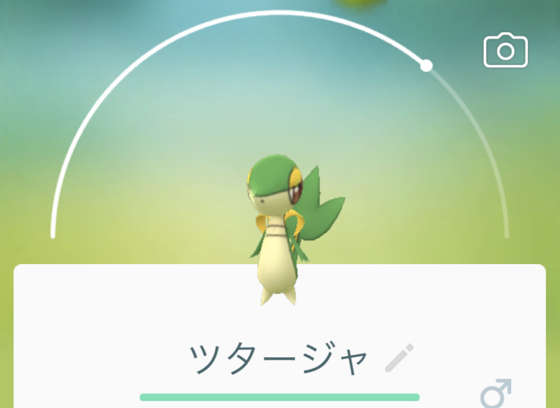 年 1発目の ポケモンgoコミュニティ デイ はポッチャマ だがそれよりも気になるのは ロケットニュース24