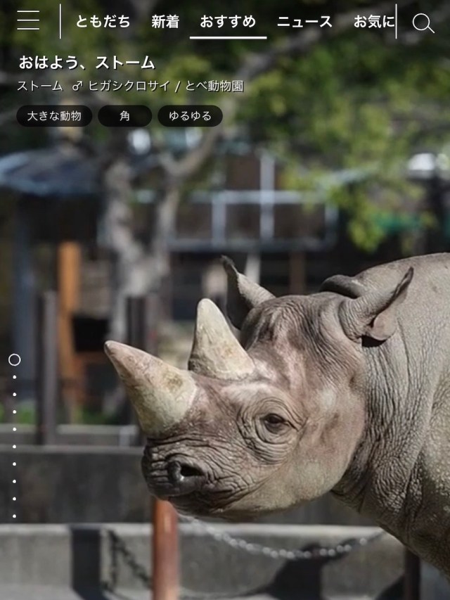 無料 ライブ配信 動画配信サービスで全国の動物園を応援 実際に行くなら のイチオシ動物園もご紹介 ロケットニュース24