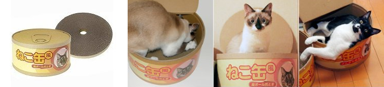 cat scratching station