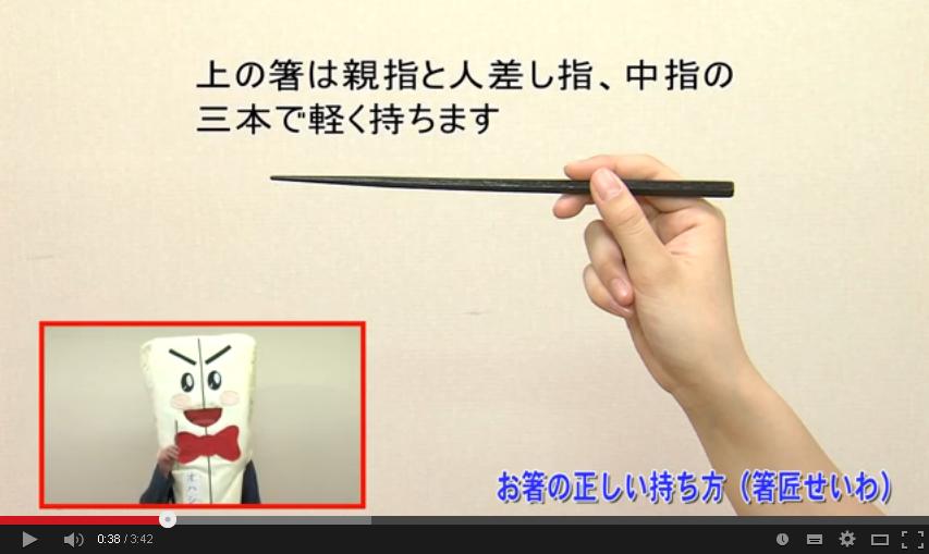 chopstick grip