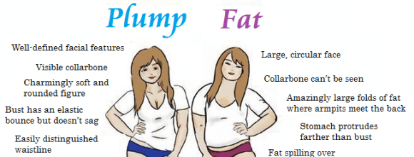 The Difference Between A Fat Woman And A Plump One According