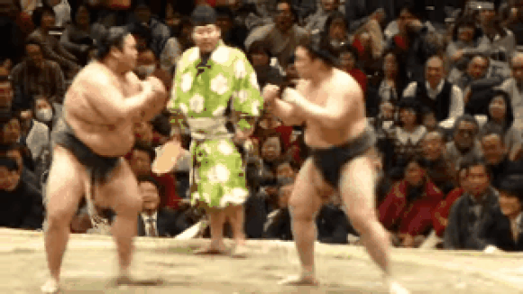 Join The Hordes Of Net Users Giggling At Gifs Of Sumo Wrestlers Performing Comedic Moves Videos Soranews24 Japan News