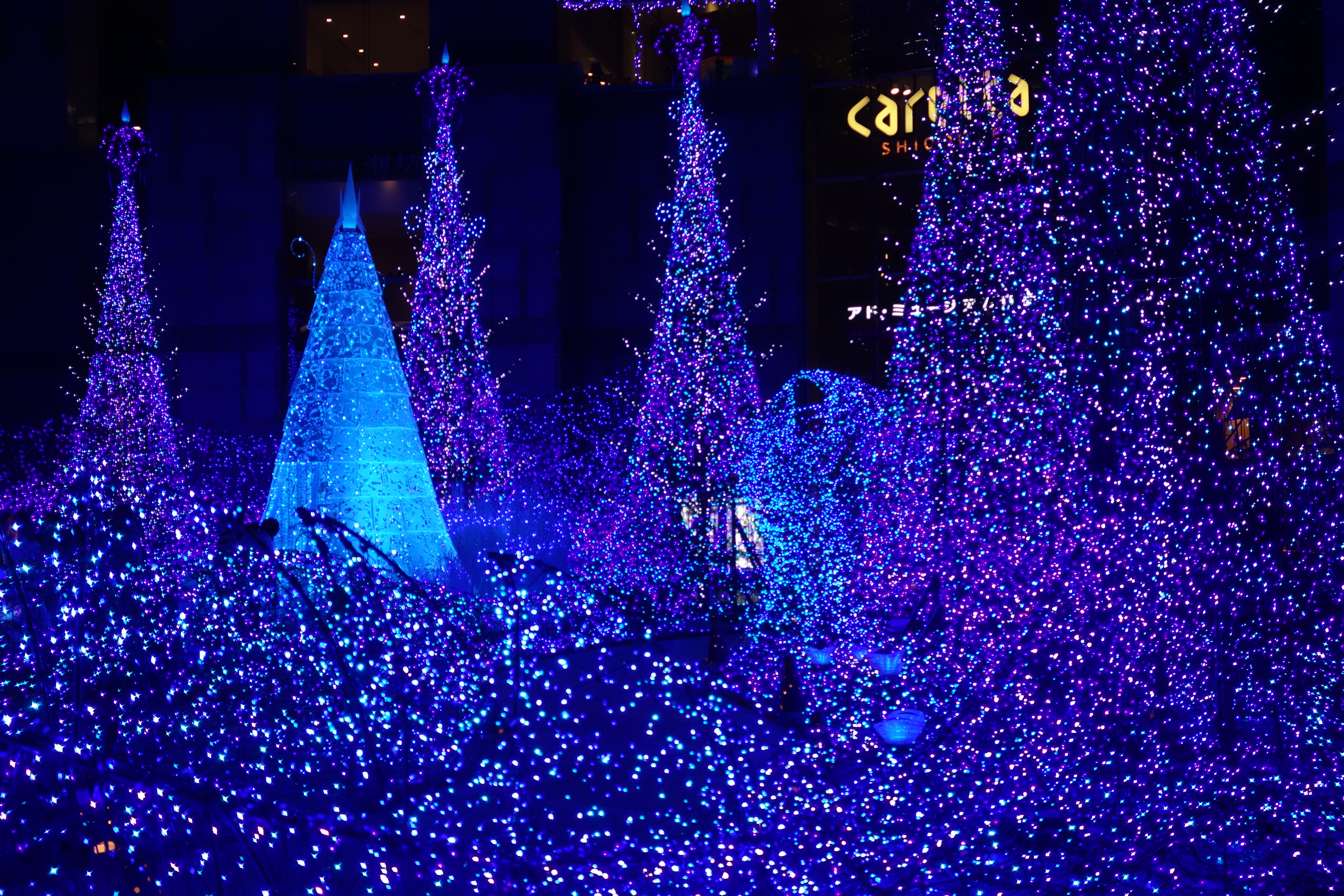 Check out Tokyo’s incredible Christmas illuminations!【Video ...