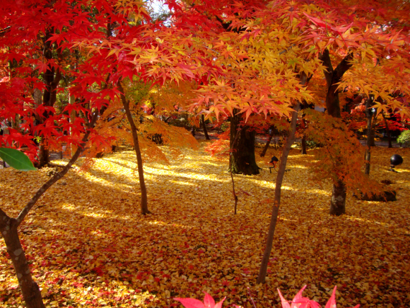 The 10 most beautiful places to see the autumn leaves in Japan, as ...