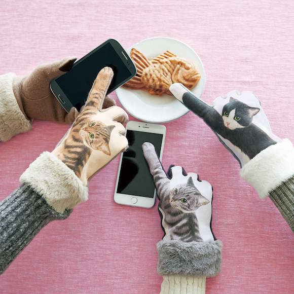 purrfectly pampered paws