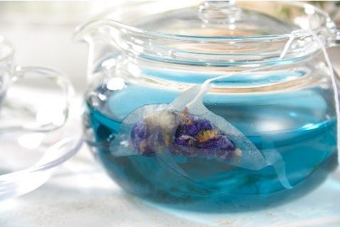 Marine Creature Themed Tea Bags Transform Teapots Into Aromatic Oceans Soranews24 Japan News