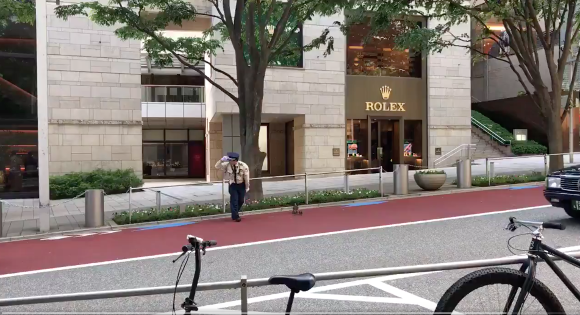 Cute Ducklings Cross Busy Tokyo Street With The Help Of A Good Samaritan Video Soranews24 Japan News