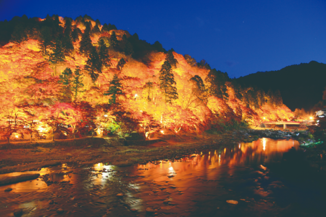 Places to Visit: 15+ Place To Visit In Japan During Autumn