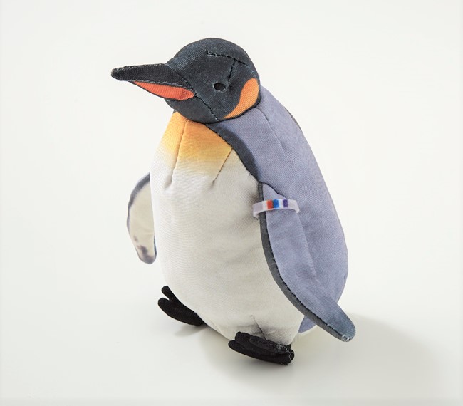 growing penguin egg toy