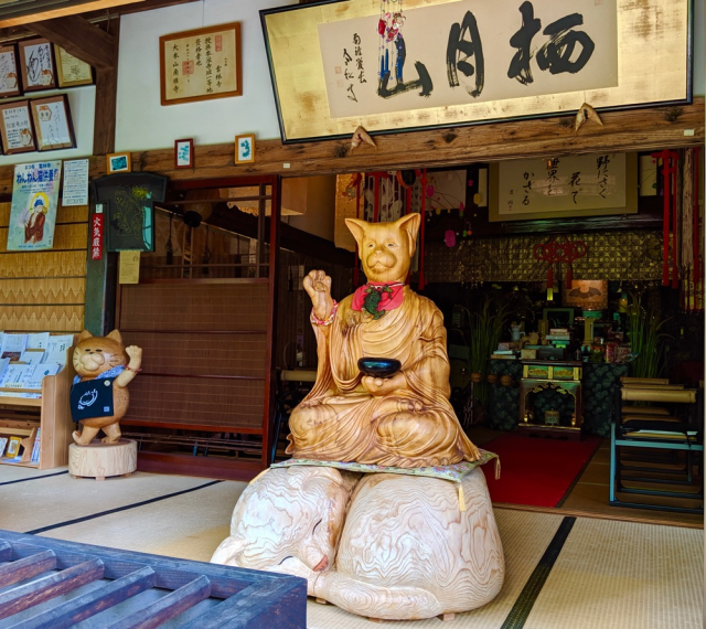 A visit to Japan’s cat beautiful, quirky, and touching cat temple