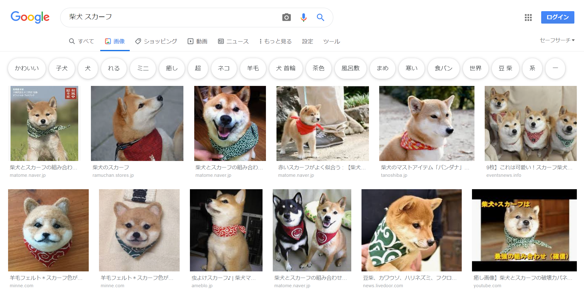 google shiba inu