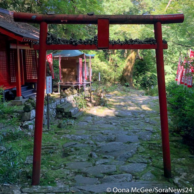 Japan Travel: 17 Things to do in Oita, Japan’s onsen prefecture ...