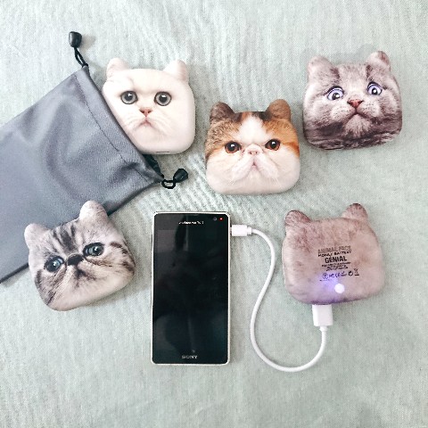 Charge Up Your Phone With The Power Of A Portable Cat Battery From Japan Soranews24 Japan News