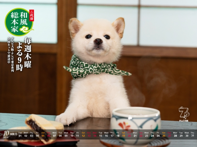 working lurchers for sale