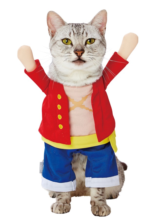 Your cat or dog can be King of the Pirates with One Piece anime cosplay