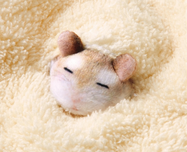 japanese dwarf hamster