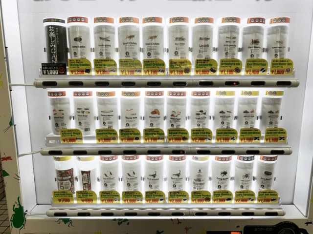 Insects Vending Machine Taste-testing Tokyo’s biggest, best edible bug vending machine【Photos ...