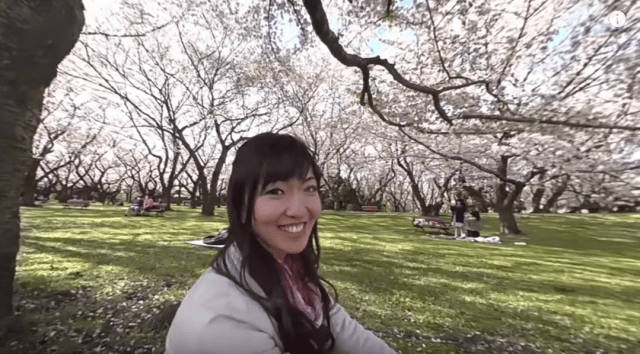 Vr Cherry Blossom Parties 360 Degree Video Series Provides Beauty Dates For Those Stuck Indoors Soranews24 Japan News