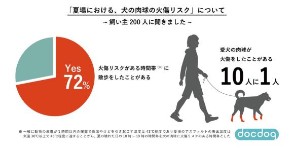 夏場の散歩は要注意 ワンコの肉球は熱々アスファルトで火傷しちゃいます 飼い主の10人に1人が火傷をさせてしまった経験があるそうです Pouch ポーチ