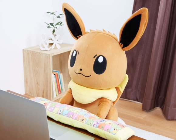 人気ポケモン イーブイ のめちゃめちゃかわいいpcクッションがデタァー アームレストにブースターやシャワーズも発見 Pouch ポーチ