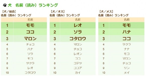 犬の名前と猫の名前で最も多いのは モモ 猫の名前部門では4年連続で総合ランキング1位なんだって Pouch ポーチ