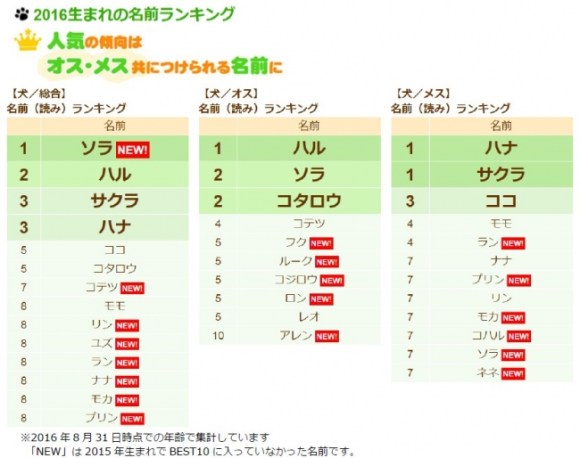 犬の名前と猫の名前で最も多いのは モモ 猫の名前部門では4年連続で総合ランキング1位なんだって Pouch ポーチ