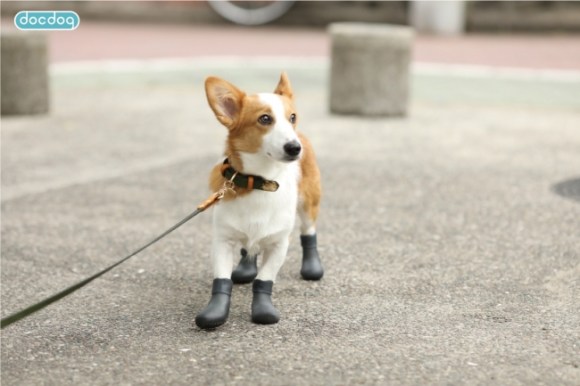 ワンコ用レインブーツが丸っこくてめちゃカワイイ 雨のお散歩や熱い砂浜はもちろんフローリングでも使えて頼もしい Pouch ポーチ