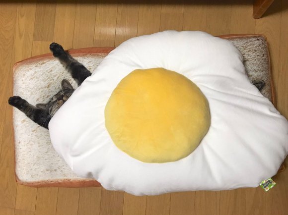 ラピュタパンに猫をプラスした 猫サンド が爆誕 目玉焼きとトーストでニャンコさんを挟んだら激かわな事態に Pouch ポーチ