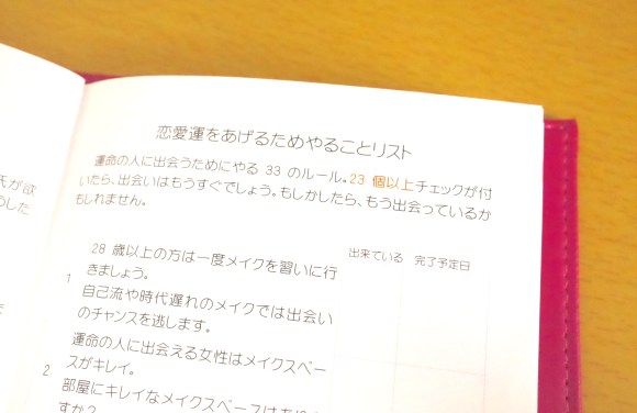 約2万円もする 婚活手帳 を買ってみた 毎日占い付き 辛口恋愛アドバイスが染みる Pouch ポーチ