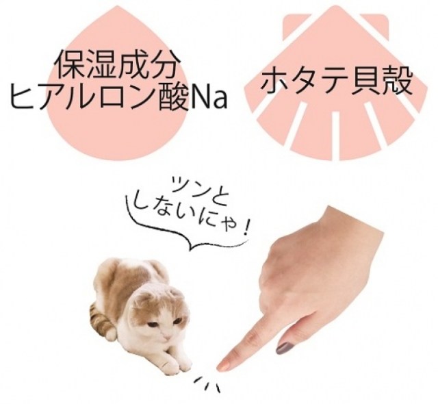 世界初 肉球カラー のネイルで愛猫とお揃いにしよう お湯ではがせる1dayネイルタイプだよ Pouch ポーチ