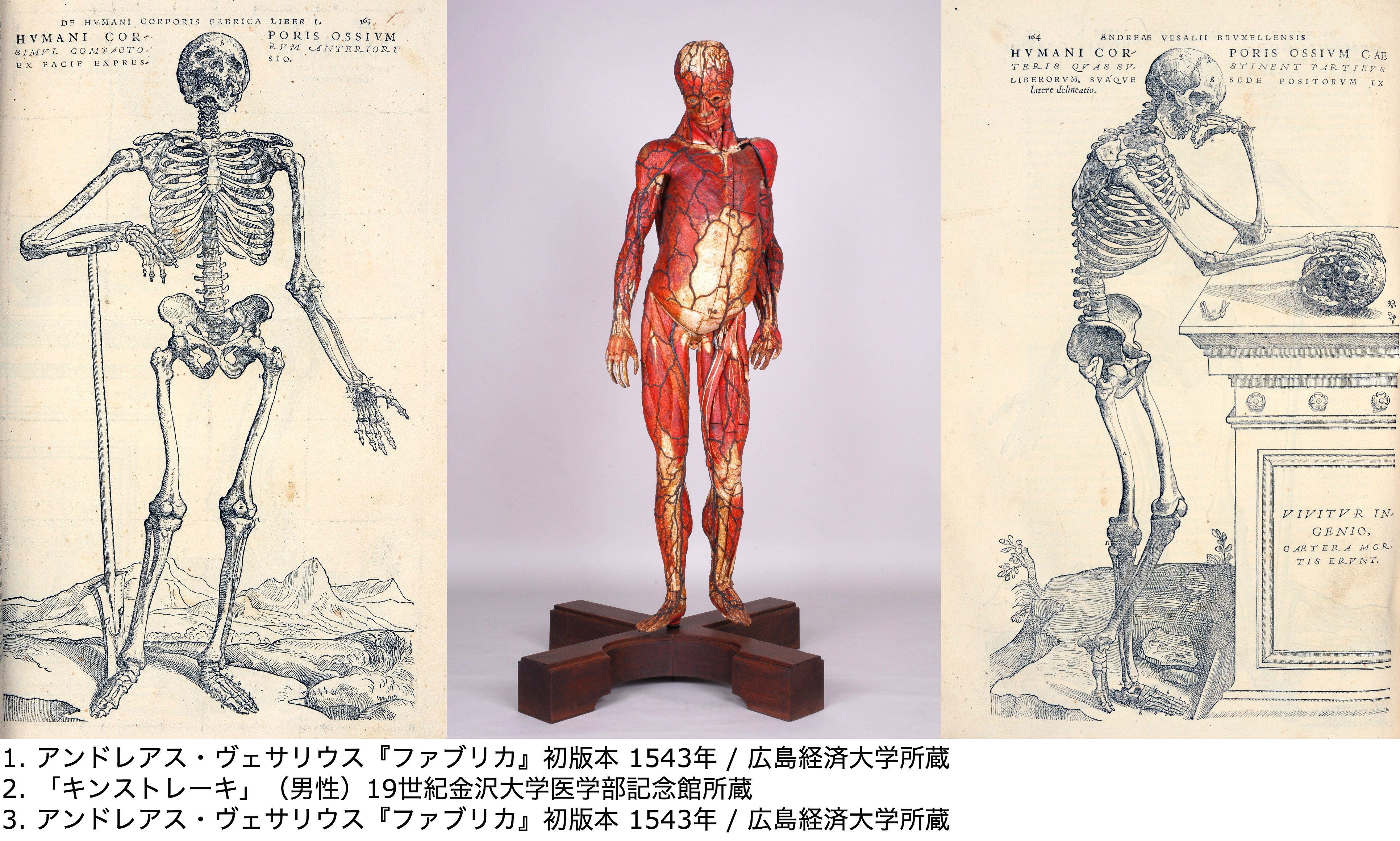 貴重 ダヴィンチをはじめ人体の謎に挑んできた歴史がわかる特別展 人体 神秘への挑戦 が上野の国立科学博物館が開催されます Pouch ポーチ